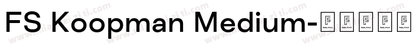 FS Koopman Medium字体转换